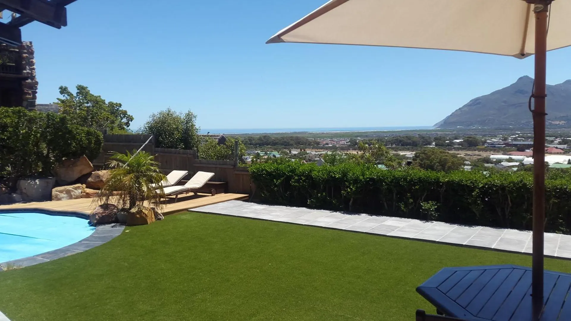 African Violet - Terraces Noordhoek